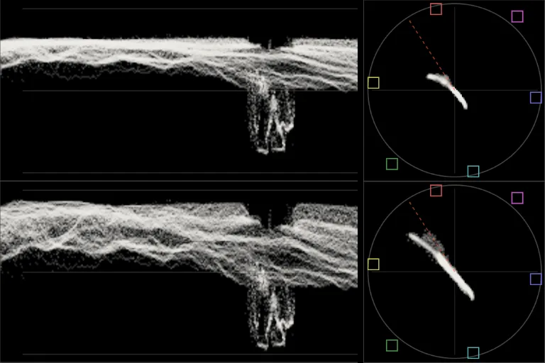 Waveform and vectorscope of the camera log: one narrow grey band, and a small knot of colour at the centre.
