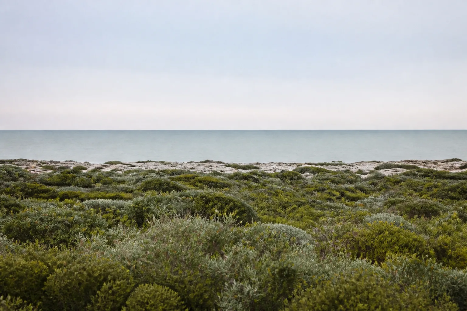 Low coastal scrub running down to pale limestone and a calm grey-green sea under a soft, even sky