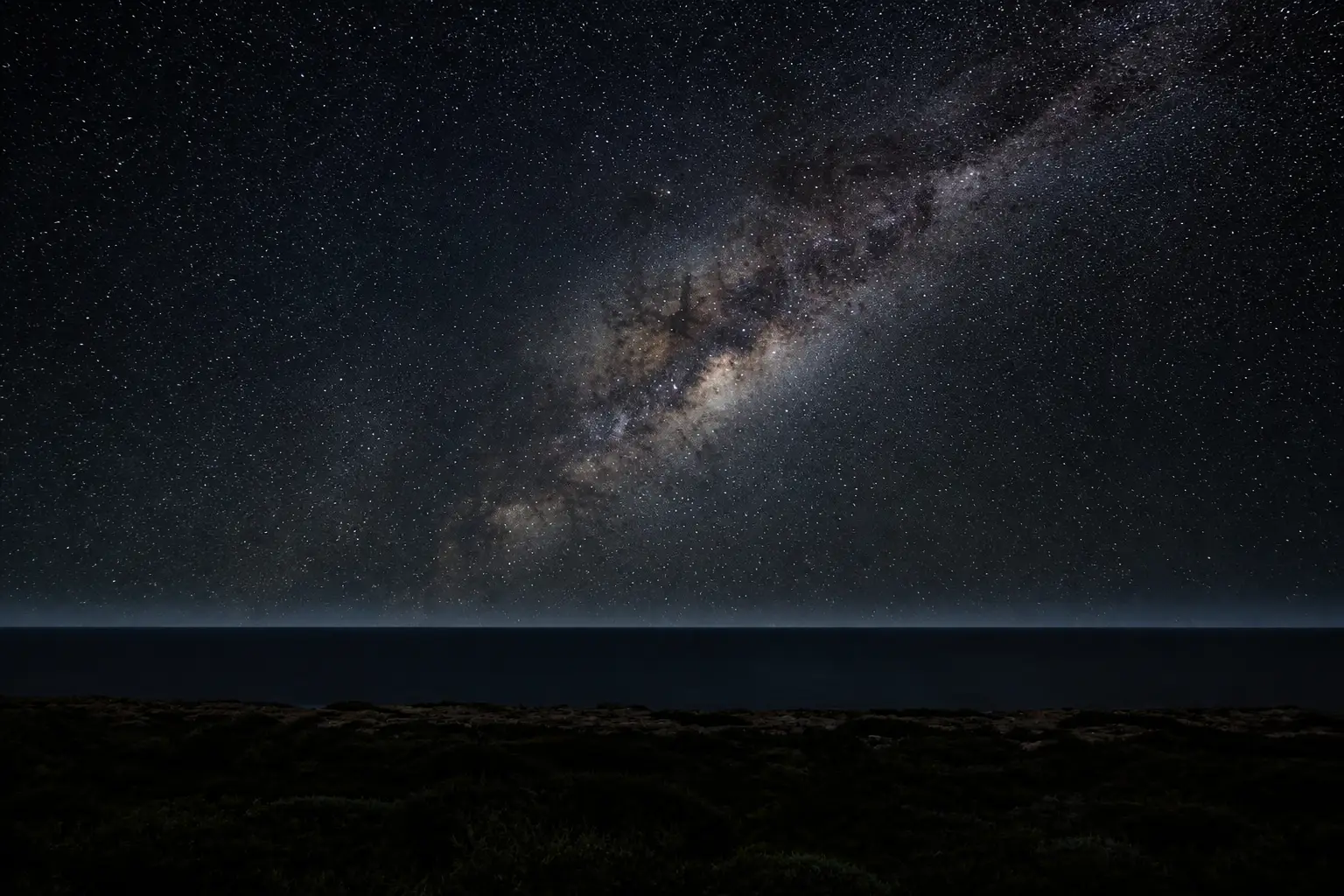 The Milky Way over a dark sea and the silhouette of coastal scrub on a moonless night