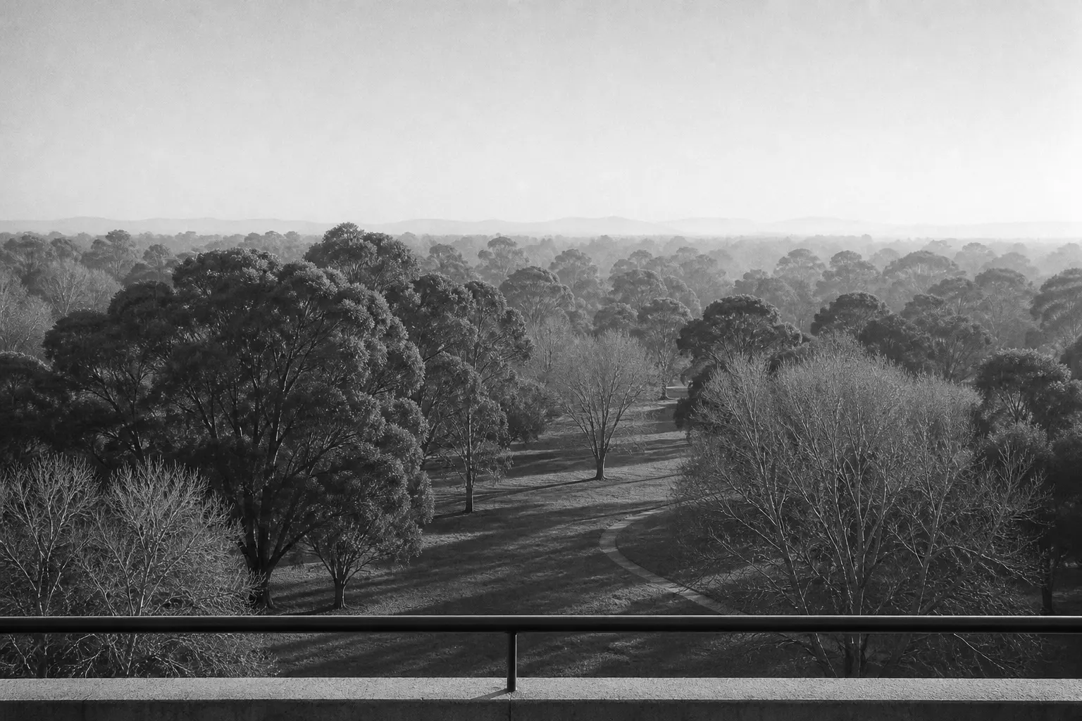 From high up, parkland treetops and lawn in winter haze, a balcony edge along the bottom.