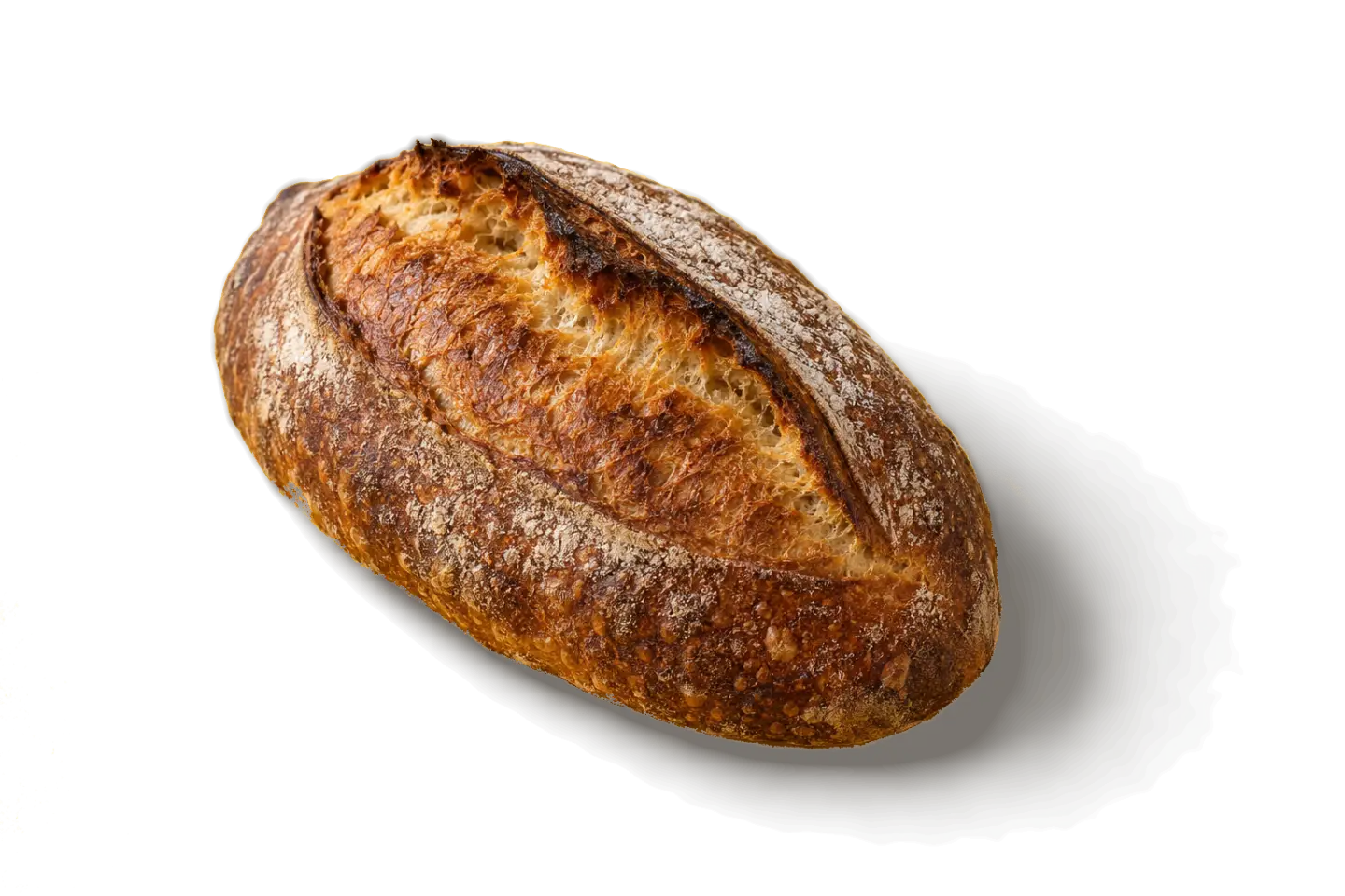 A dark-crusted sourdough batard with one long score burst open into a raised ear
