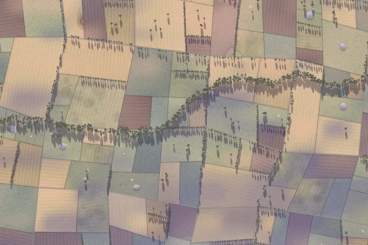 Farmland drawn for this page at first light: paddocks, crop rows, a creek with red gums and dams, long shadows from the low sun