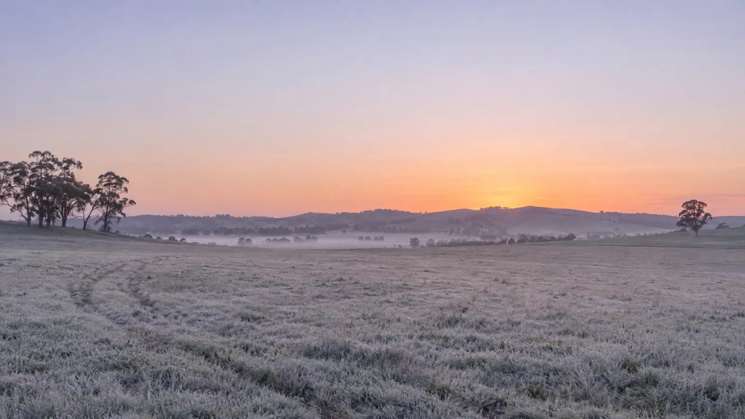 The launch paddock silvered with dew before sunrise, mist in the hollow, low hills and red gums under a pale lavender sky with a peach glow where the sun will rise