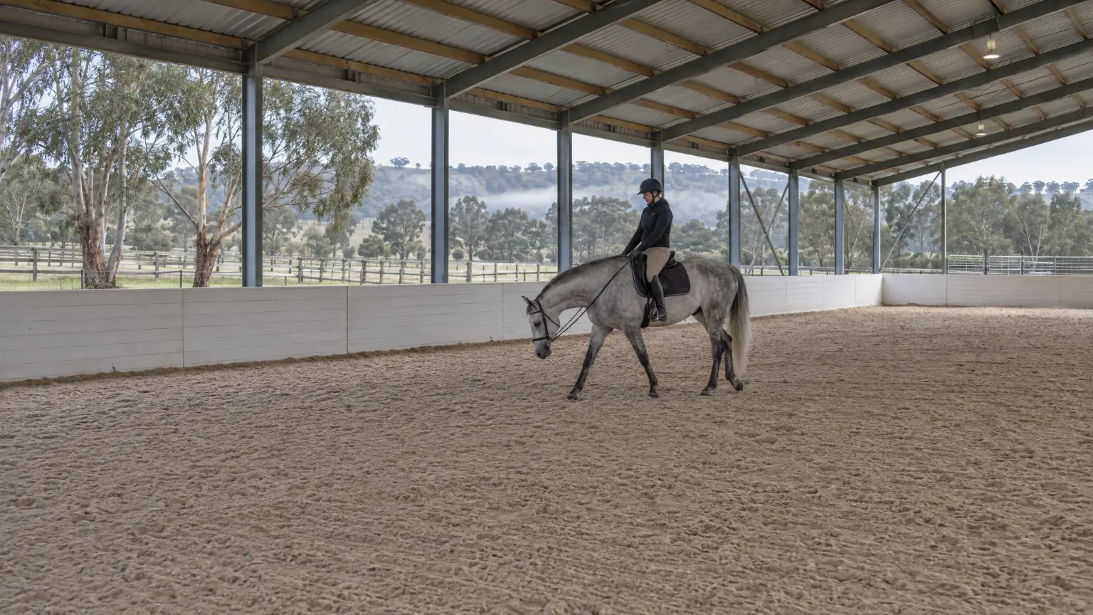 Inside the covered arena, a rider walking a grey horse on a long rein as low light comes in from the open side.
