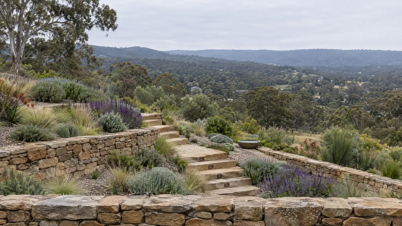 A terraced garden on a steep Hills block falling to a valley: dry sandstone walls and steps, beds of grasses and violet salvias, a stone bowl on the middle terrace