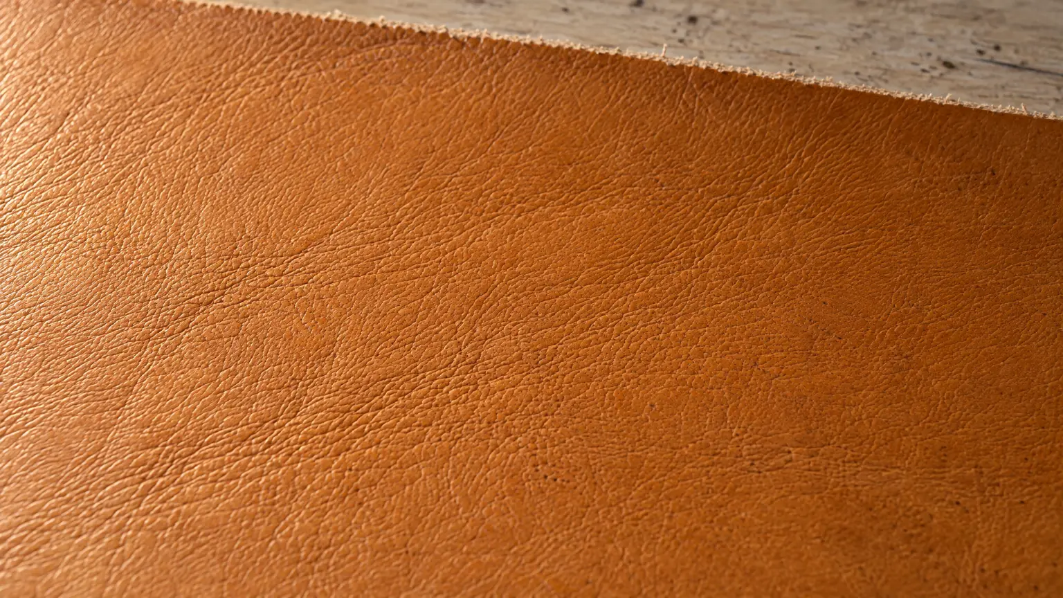A panel of tan vegetable-tanned leather on the bench in low raking light, the grain standing up in relief.