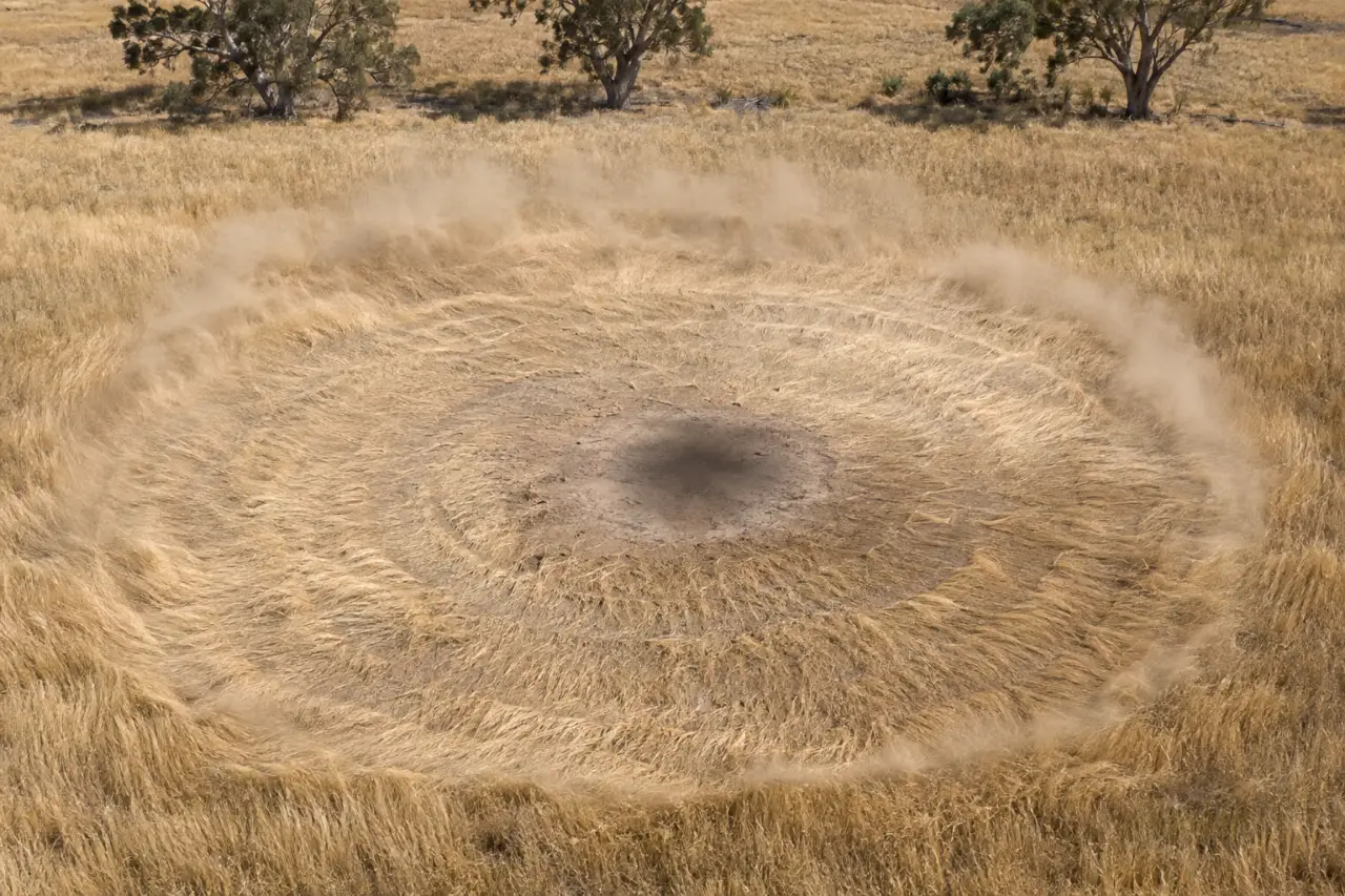 Dry paddock grass pressed flat in rings around a bare patch, a soft round shadow at the centre and dust curling at the edge